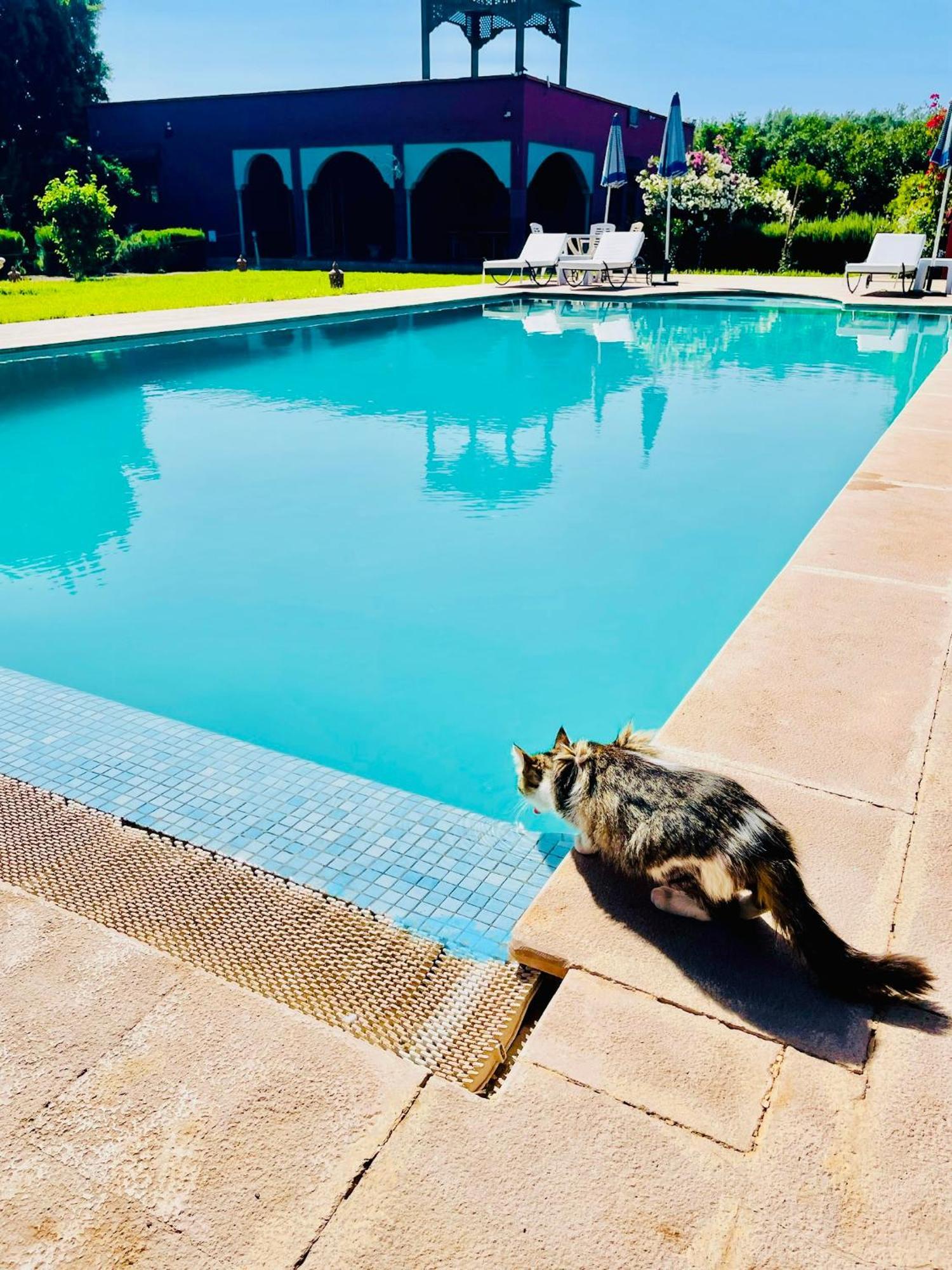 Villa Baddi Marrakech Lagouassem Ngoại thất bức ảnh